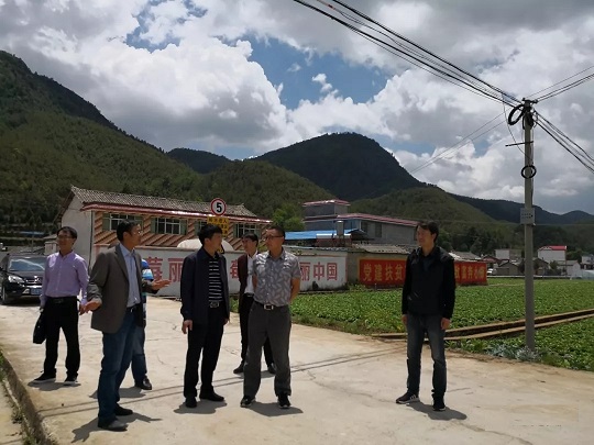 县委常委ã€ç»„织部部长å™èƒç šåˆ°å¾…补镇ã€é‡‘é’Ÿè¡—é“ã€å¨œå§‘é•‡è°ƒç ”å…šå»ºæ‰¶è´«“åŒæŽ¨è¿?rdquo;工作